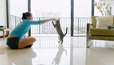 Gulf Reinsurance Limited

